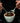 MAKING SENSE OF COFFEE - gota.live Experts