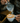 LATTE ART WORKSHOP - gota.live Experts
