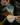 LATTE ART WORKSHOP - gota.live Experts
